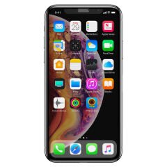 iPhone 11 Pro Anti-Dust Privacy Temperli Ekran Koruyucu Siyah