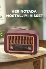 Bluetooth Hoparlör Nostaljik Radyo Kablosuz Speaker D59 Koyu Kahve