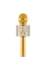 WS-858 Karaoke Mikrofon Aux Usb Ve Sd Kart Girişli Bluetooth Hoparlör