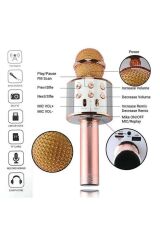 WS-858 Karaoke Mikrofon Aux Usb Ve Sd Kart Girişli Bluetooth Hoparlör Pembe
