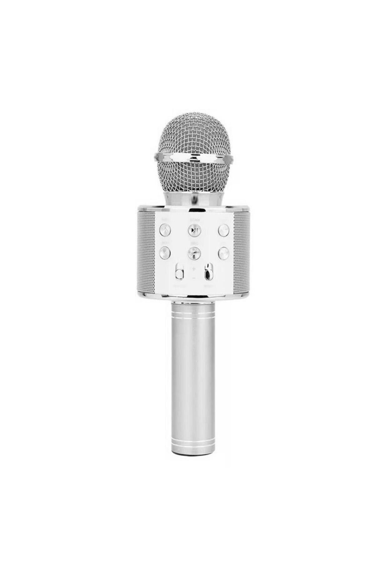 WS-858 Karaoke Mikrofon Aux Usb Ve Sd Kart Girişli Bluetooth Hoparlör Gümüş