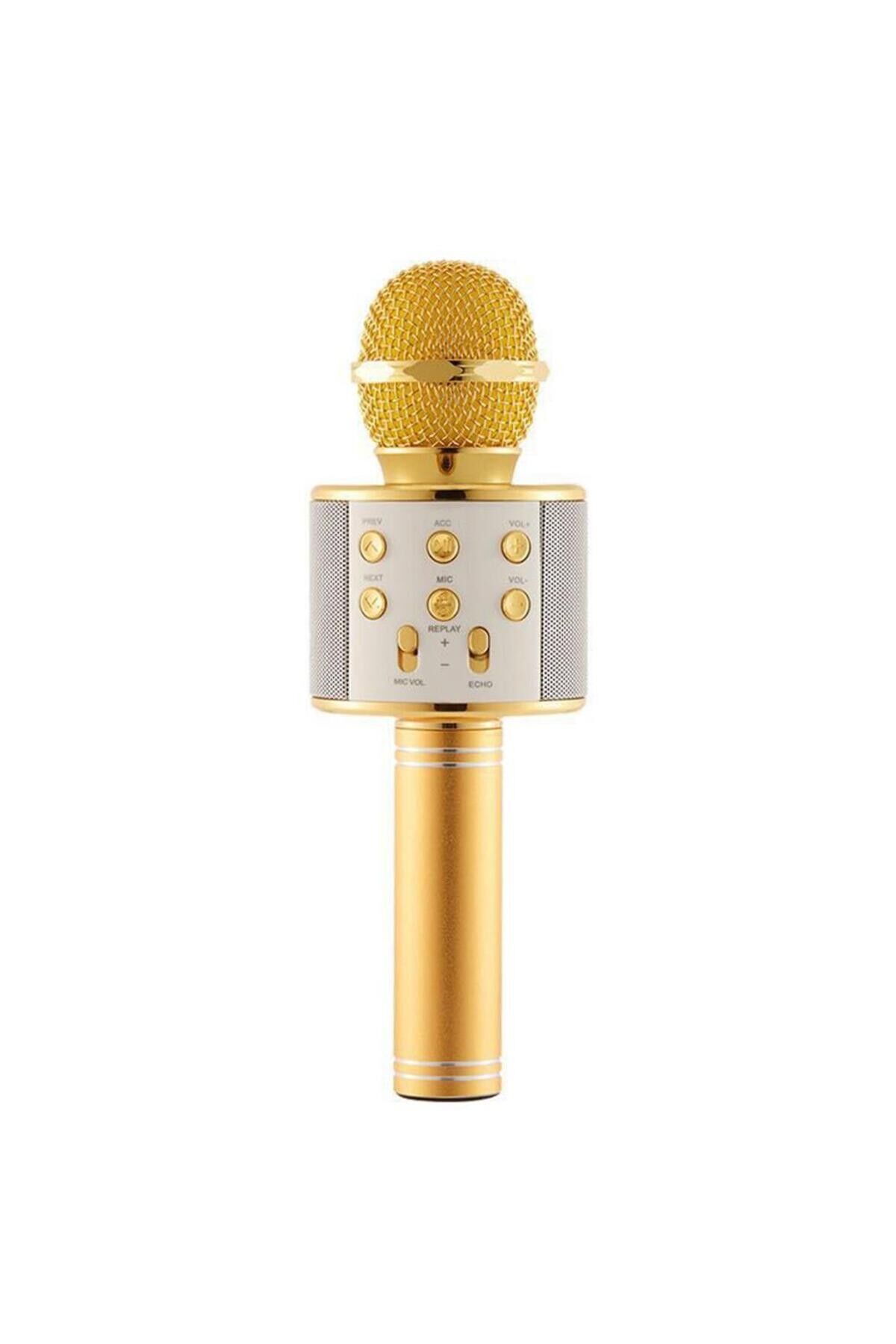 WS-858 Karaoke Mikrofon Aux Usb Ve Sd Kart Girişli Bluetooth Hoparlör Gold