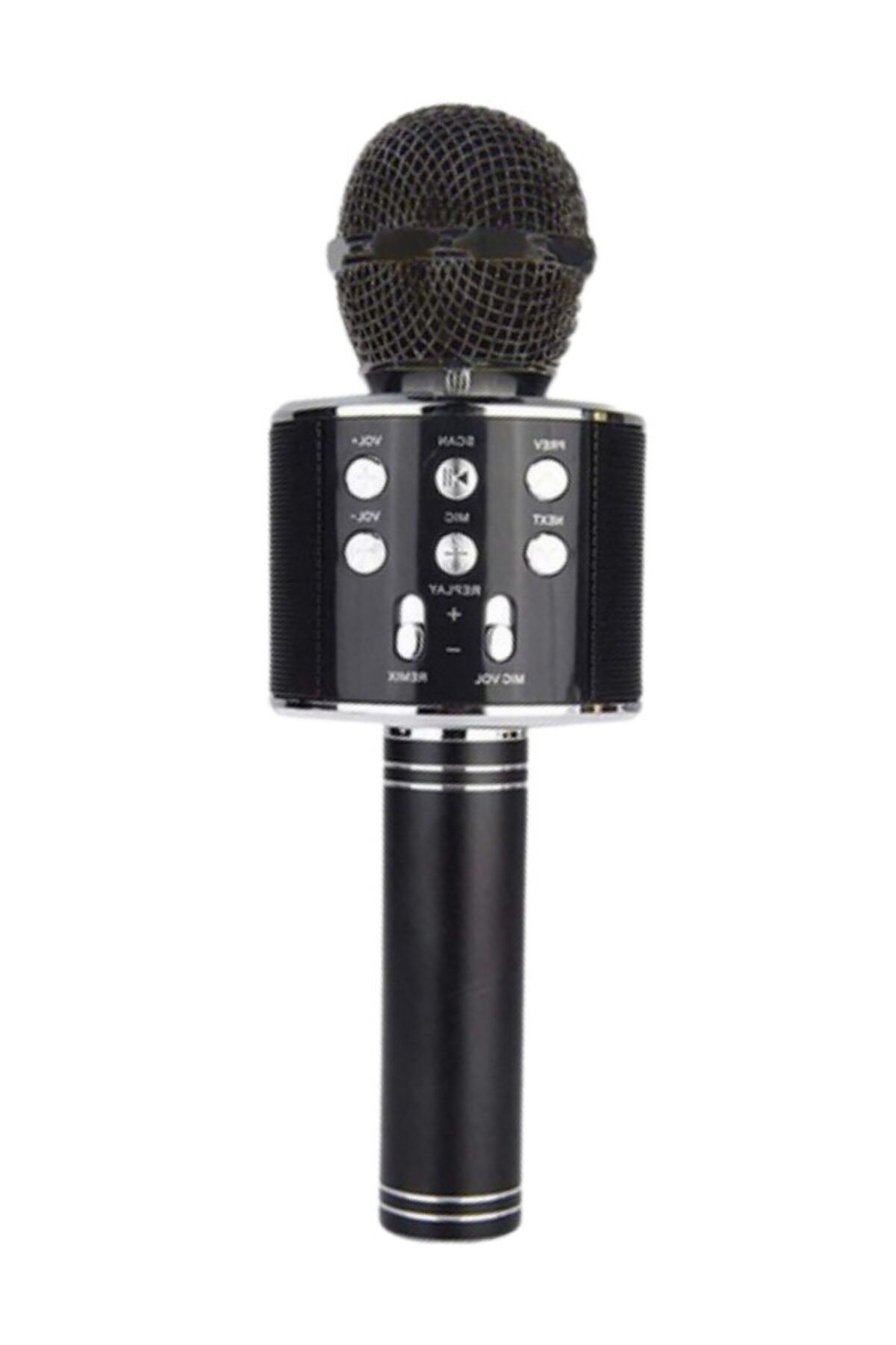 WS-858 Karaoke Mikrofon Aux Usb Ve Sd Kart Girişli Bluetooth Hoparlör Siyah