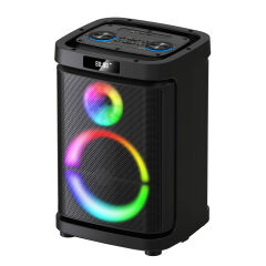 GD-1019 Dijital LED Göstergeli Çift Mikrofonlu RGB TWS 10 inç Stereo Bass Kablosuz Karaoke Hoparlör