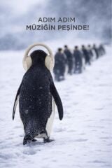 Bluetooth Kulaklık Kulak Üstü Kablosuz Kulaklık HD50