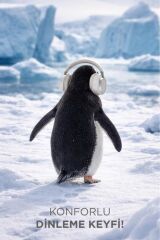 Bluetooth Kulaklık Kulak Üstü Kablosuz Kulaklık HD70