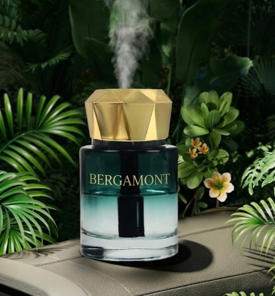 Araç İçi Aroma Difüzörü Hava Nemlendirici Yıldız Tavan Işıklı Şarjlı Oda ve Araba Kokusu Sari