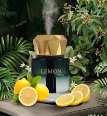 Araç İçi Aroma Difüzörü Hava Nemlendirici Yıldız Tavan Işıklı Şarjlı Oda ve Araba Kokusu Sari