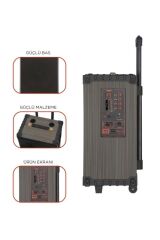 D46 Kahverengi USB, TF, BT, TWS, FM Çift Mikrofonlu Hoparlör Parti Speaker